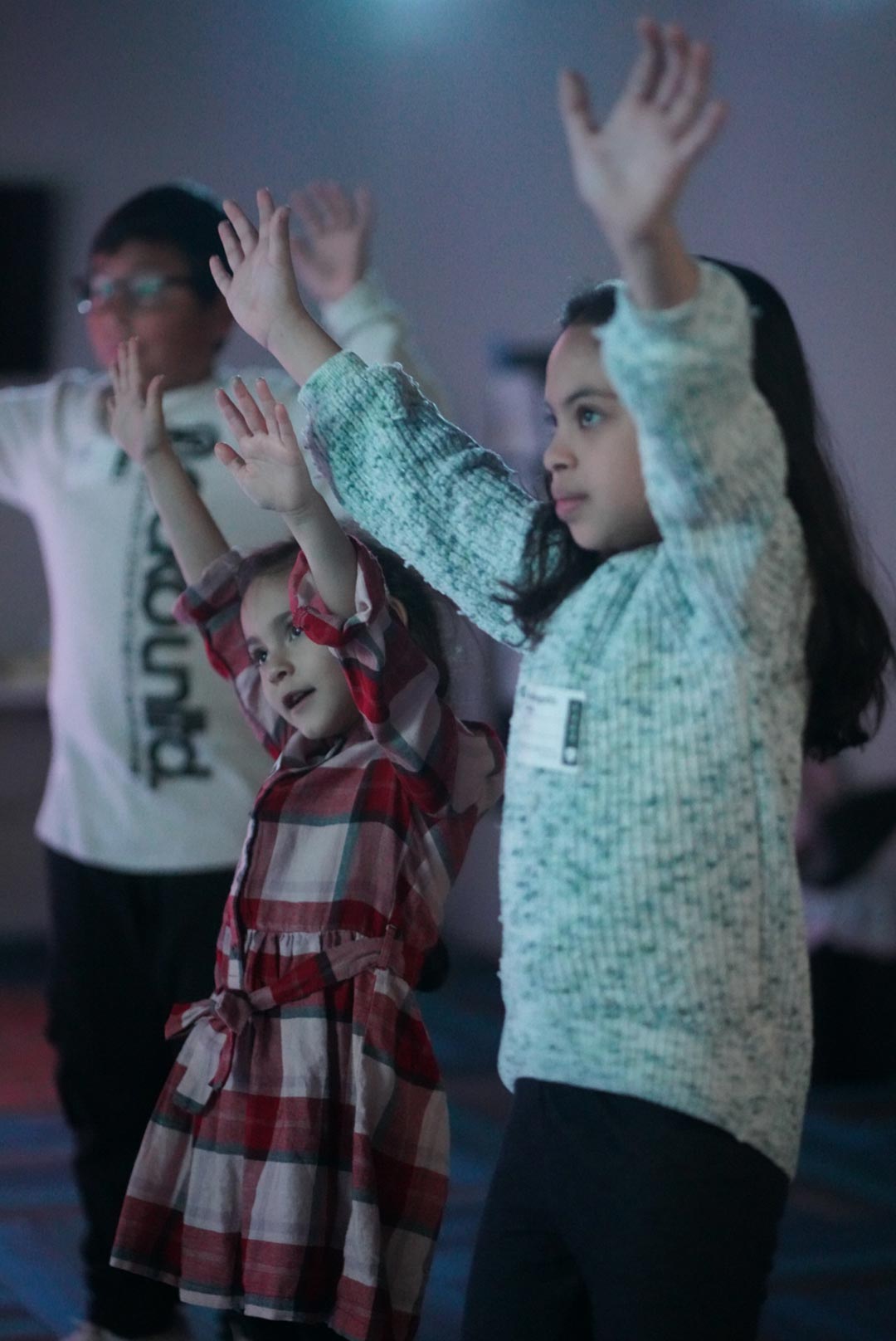 This is an example description for this item.